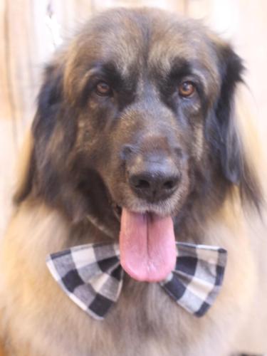 20241017シェリーちゃん